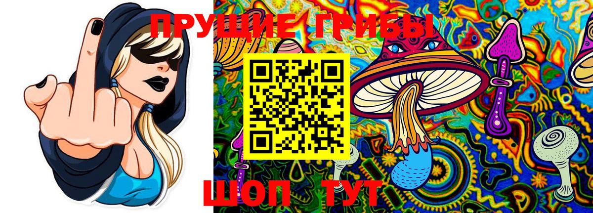 Галлюциногенные грибы Psilocybe  Галлюциногенные грибы Psilocybe  Вход с VPN  Дзержинск 